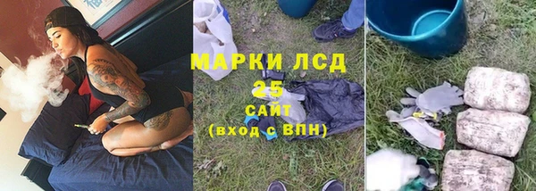 спайс Арсеньев