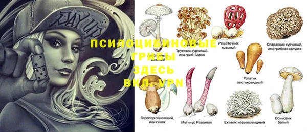 спайс Арсеньев