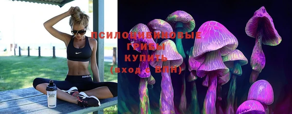 гашишное масло Аркадак